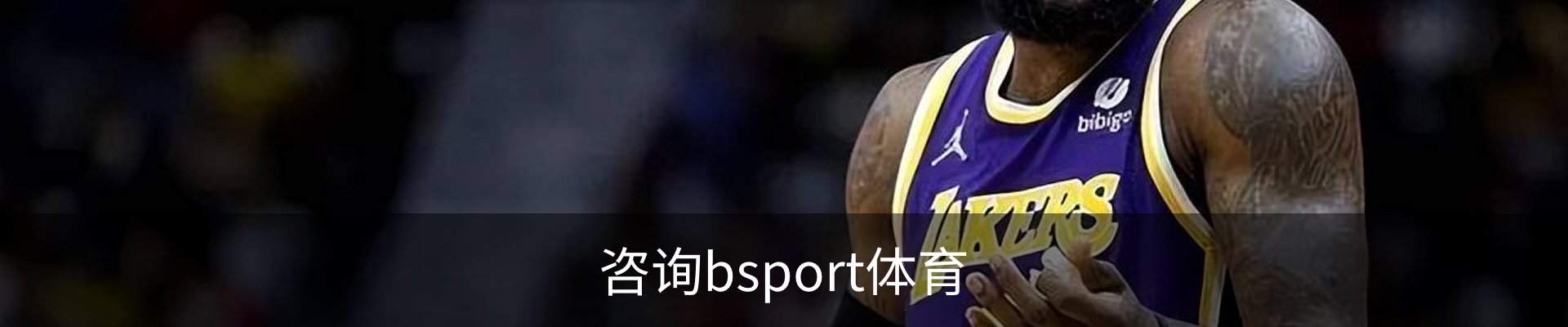 咨询bsport体育